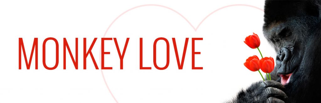 Monkey Love banner