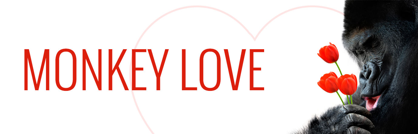 Monkey Love banner