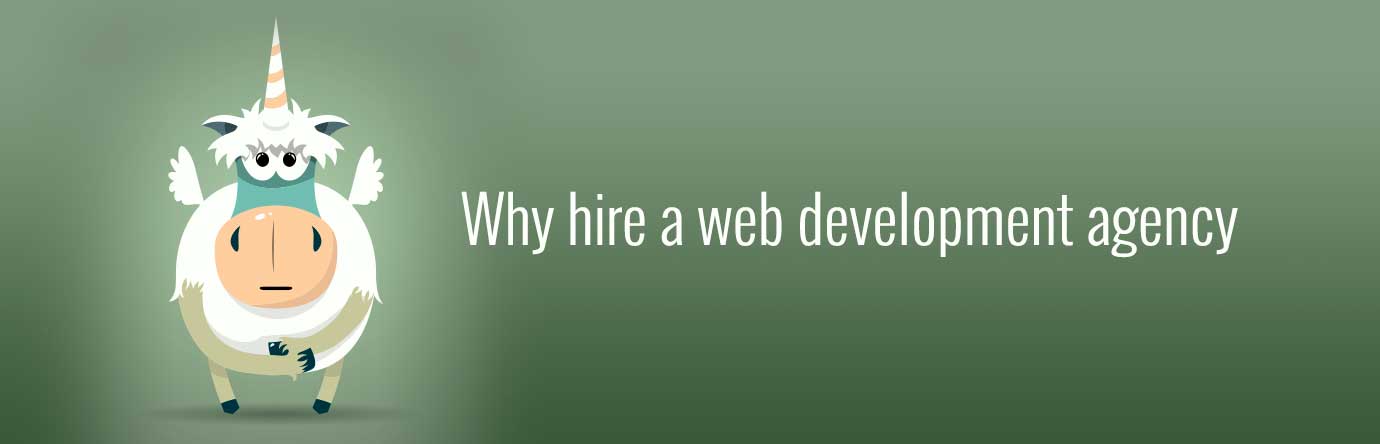 Why hire a web development agency banner
