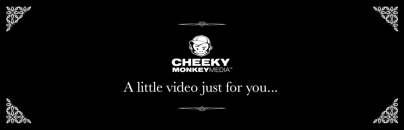 Meet the Cheeky Monkey Team banner image