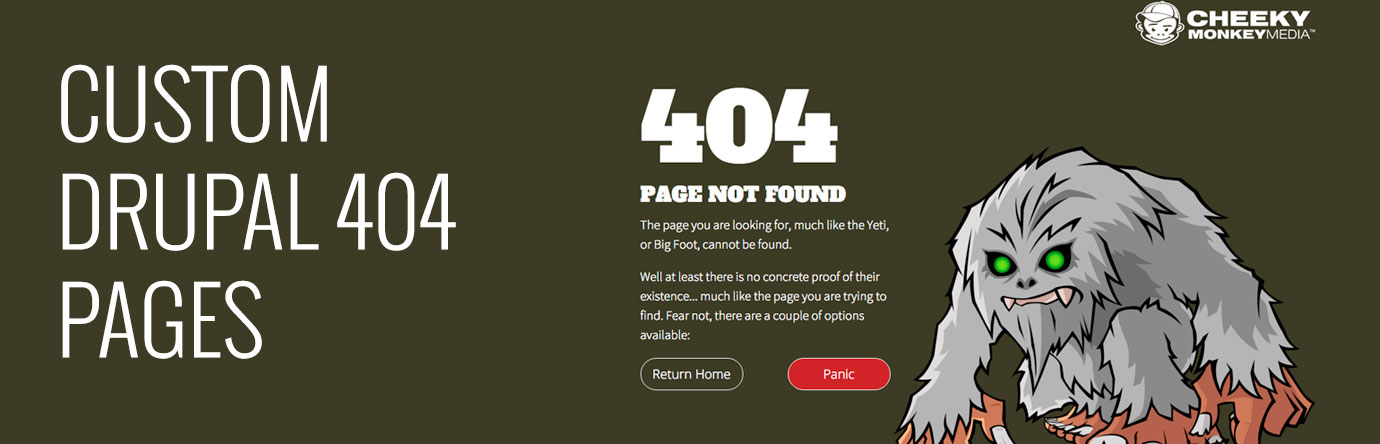 Custom Drupal 404 Pages banner