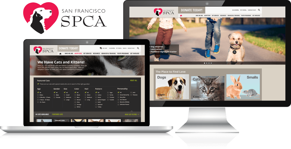 Cats - San Francisco SPCA