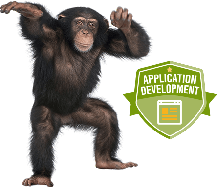 Application Development graphic image
