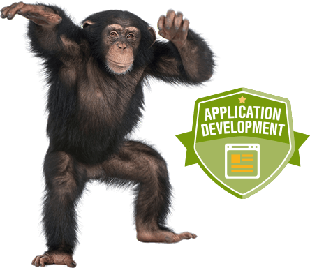 img-service-application Application Development graphic image