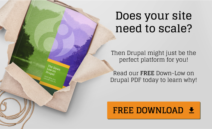 Free Drupal Guide graphic