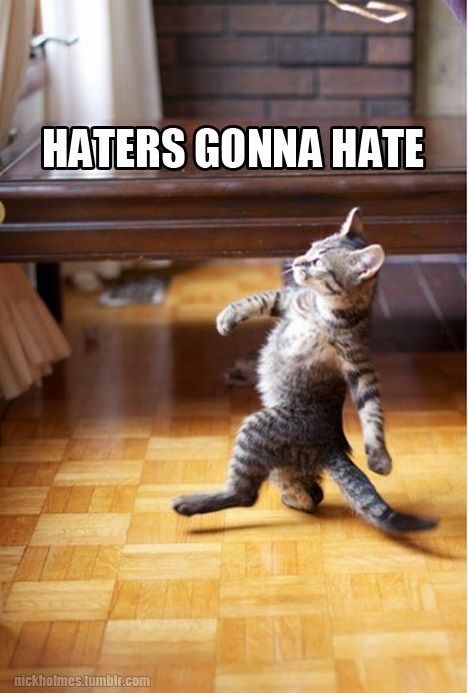 Funny cat meme image