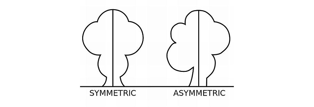 Symmetry vs. Asymmetry graphic