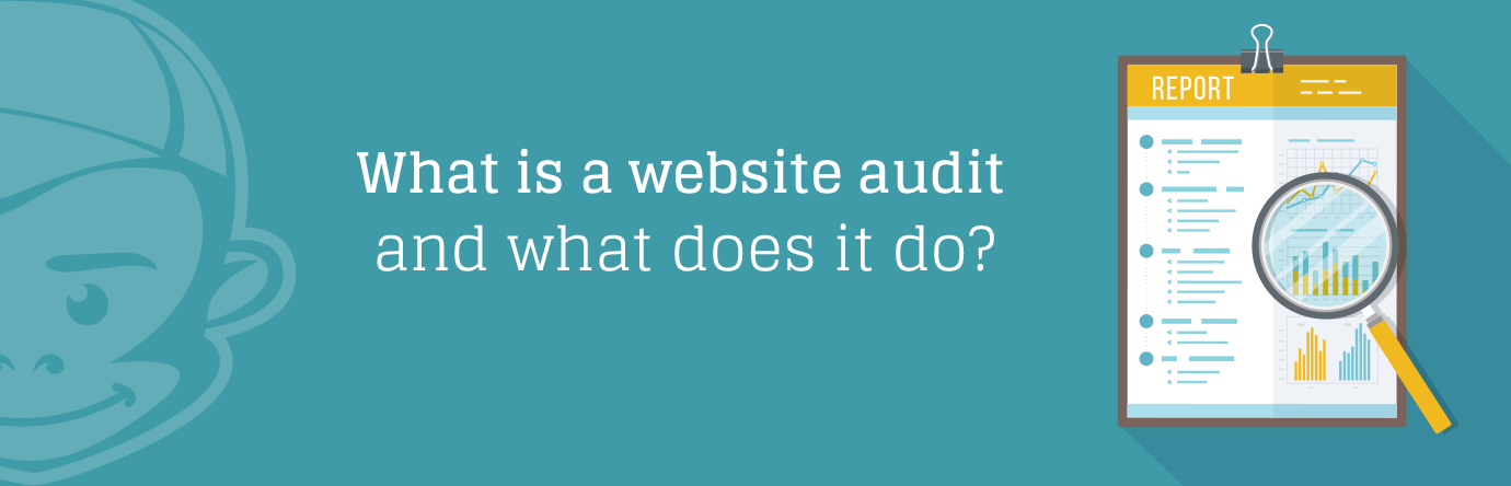 What is a Website Audit banner