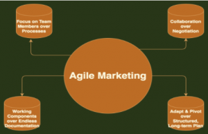 Agile marketing graphic with four choices
