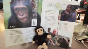 Cheeky Monkey's Adopt-a-Primate Initiative