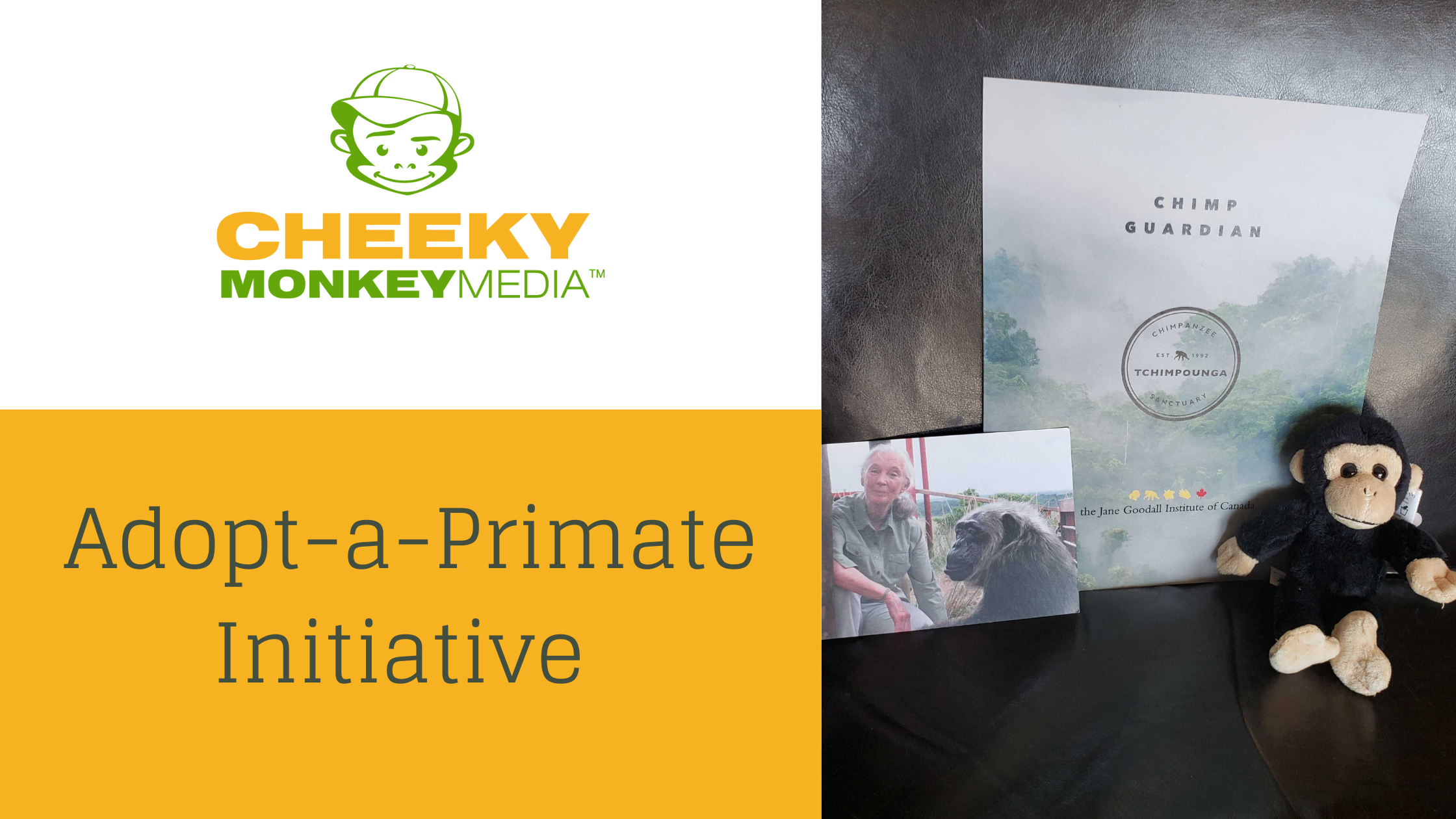 blog banner Adopt a Primate Adopt a Primate Initiative
