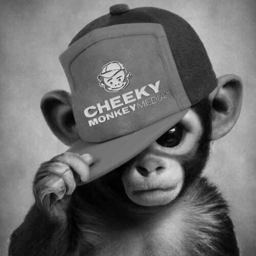 B&W Cheeky Monkey