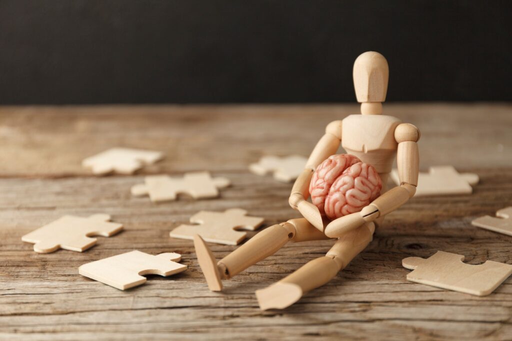 dummy brain