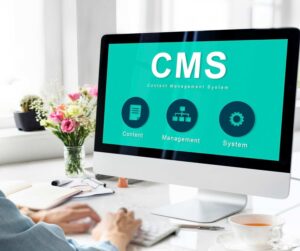 What is a CMS | Cheeky Monkey Media