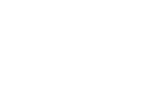 Cheeky Monkey Media